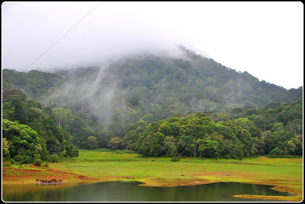 Dean Dale Cottages Thekkady Kültér fotó